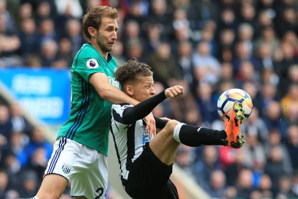 豐富生態 豐富生態